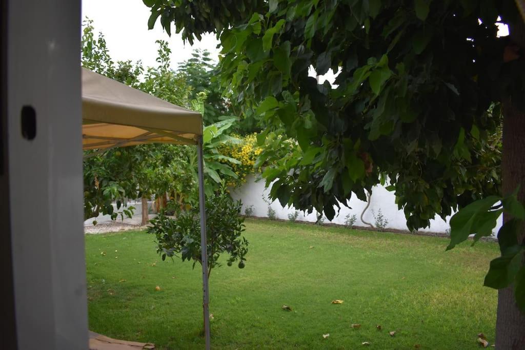 Apartment Menta 1-bedroom By Aelios In